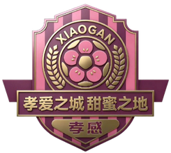 孝感队 孝感队